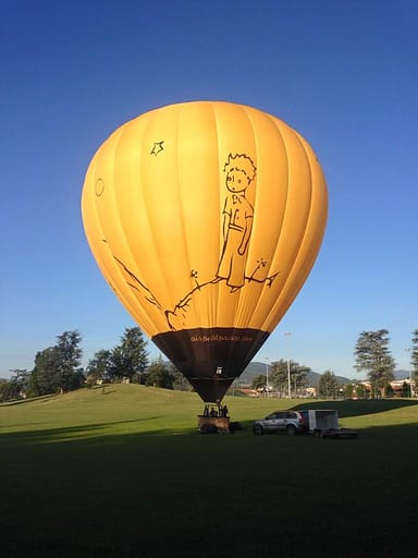 Hond Prehistorisch Berg Vesuvius Luchtballon kopen - C-Air levert je een gepersonaliseerde luchtballon