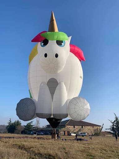 Speciale vorm luchtballon