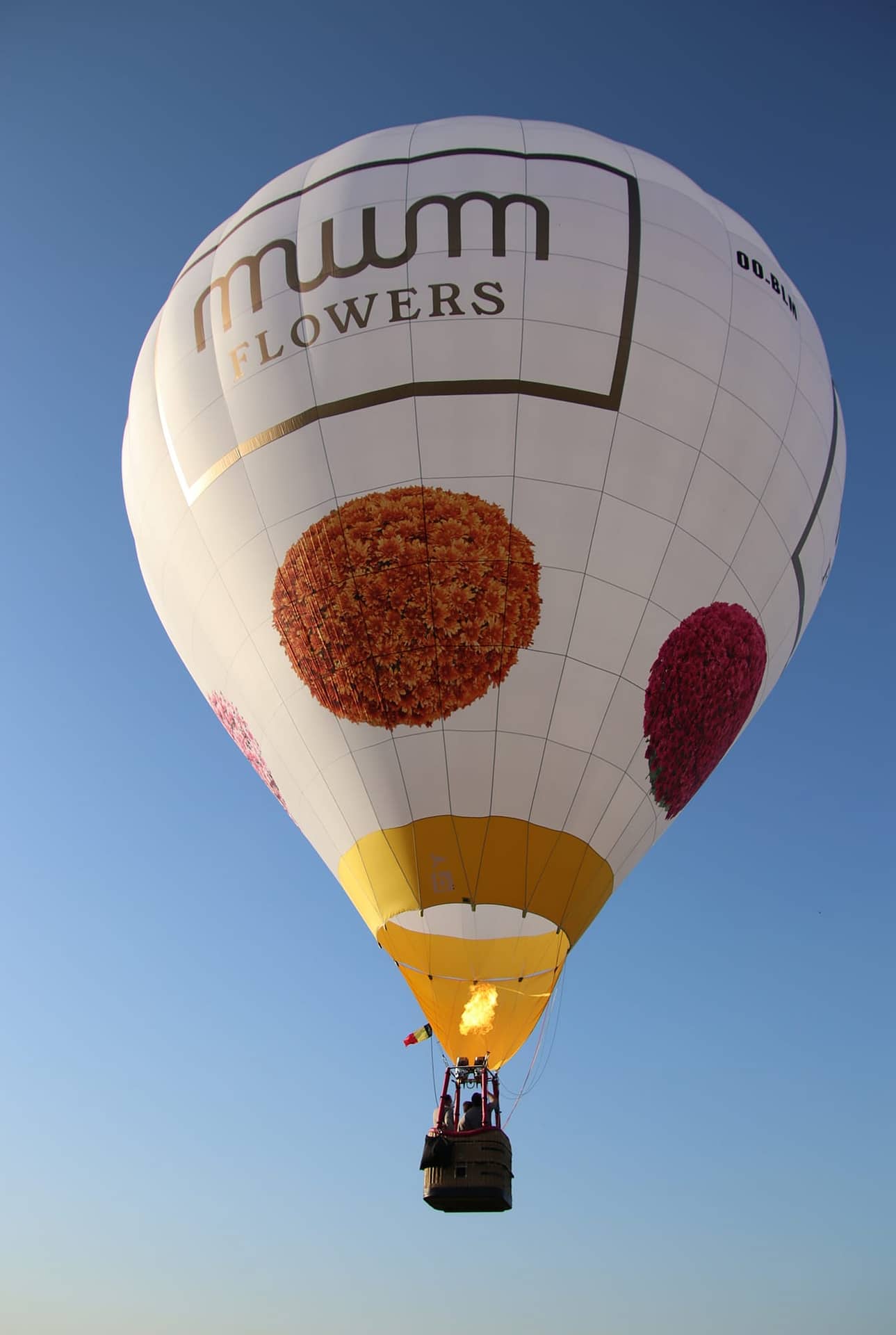 een experiment doen Lokken Kolibrie Een luchtballon kopen - Bedrijfsreclame op een luchtballon